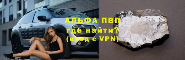 ПСИЛОЦИБИНОВЫЕ ГРИБЫ Новозыбков