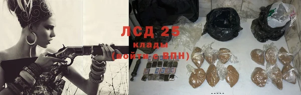 ПСИЛОЦИБИНОВЫЕ ГРИБЫ Новозыбков