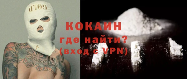 ПСИЛОЦИБИНОВЫЕ ГРИБЫ Новозыбков