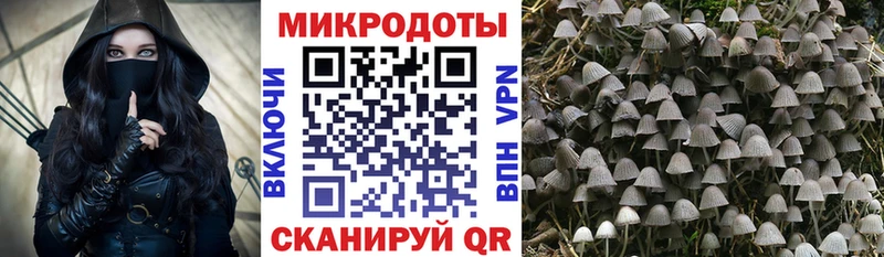 hydra онион  Кашин  Галлюциногенные грибы Cubensis 